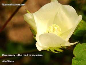 Karl Marx Quotes 2
